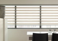 What are Day and Night Blinds?