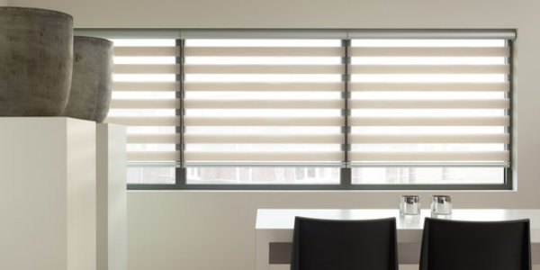 What are Day and Night Blinds?